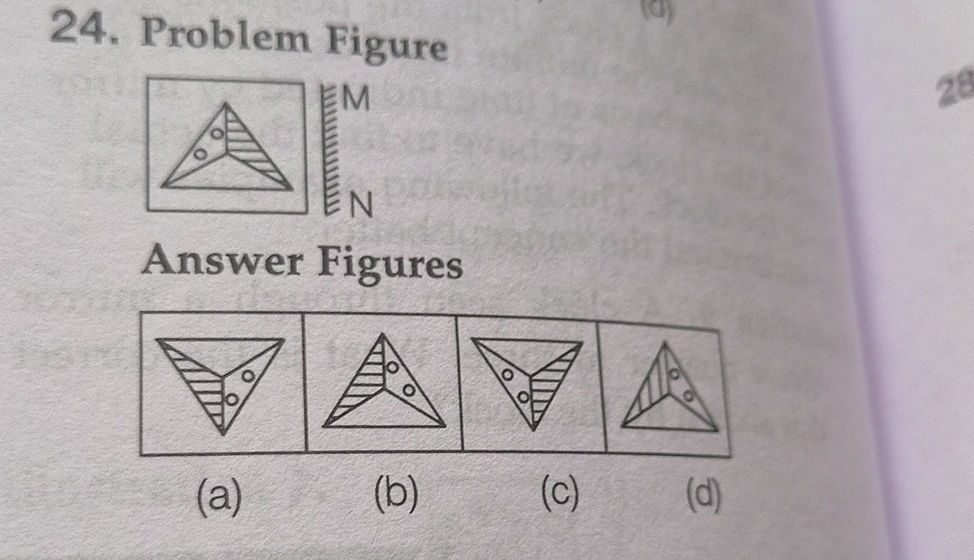 Problematic Figure 24. Problem Figure Answer Figures (a) (b) | StudyX