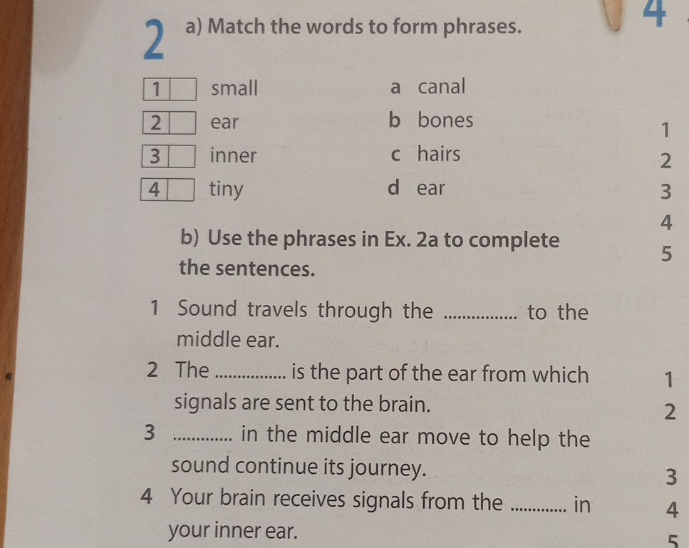 a) Match the words to form phrases. 1. | StudyX