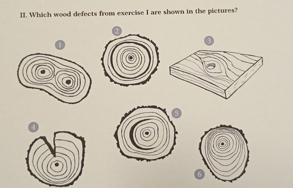 II. Which wood defects from exercise I are | StudyX