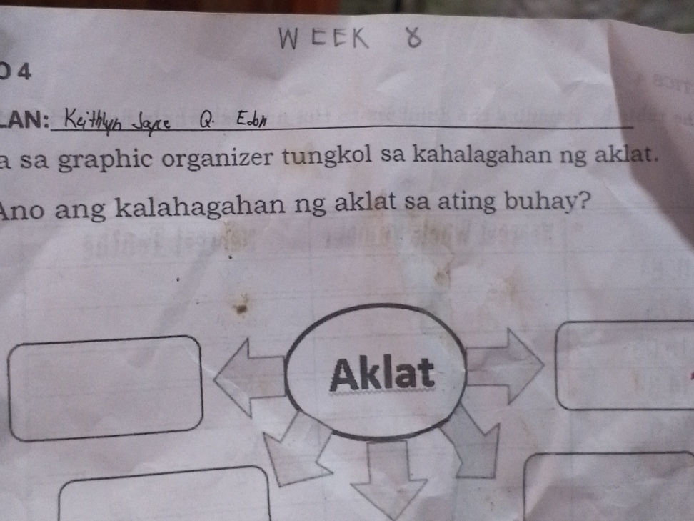 a sa graphic organizer tungkol sa | StudyX