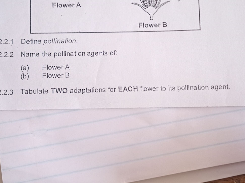 2.2.1 Define pollination. 2.2.2 Name the | StudyX