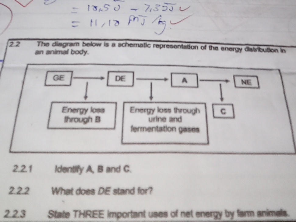 2.2 The diagram below is a schematic | StudyX