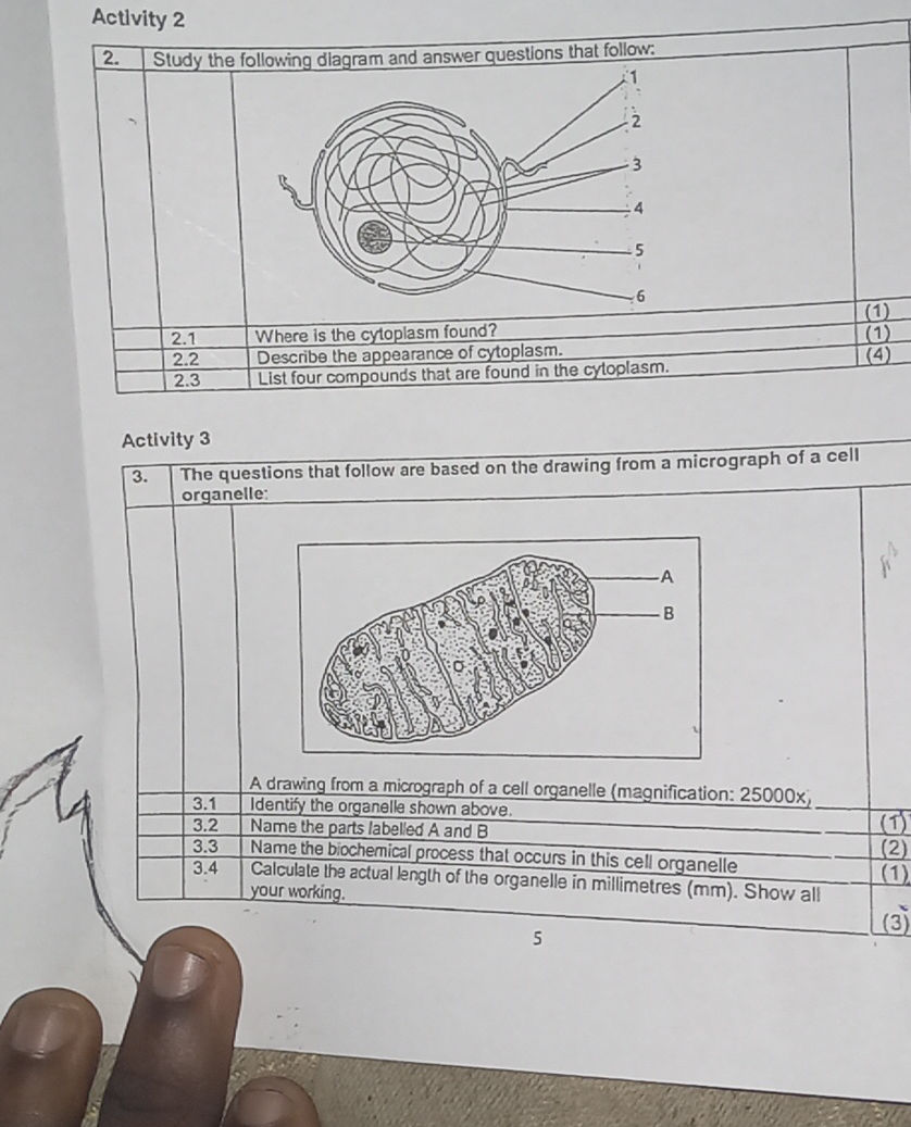 Activity 2 2. Study the following diagram | StudyX