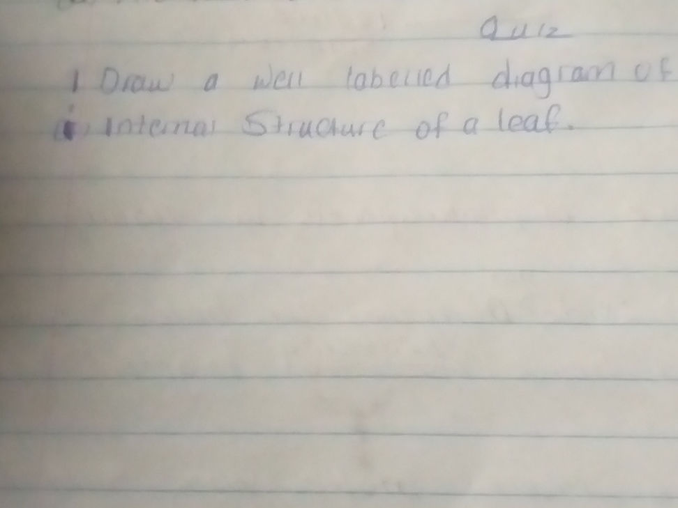 1 Draw a well labelled diagram of internal | StudyX