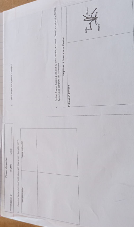 Pollination Notes.pdf 1. Describe the two forms of pollination | StudyX