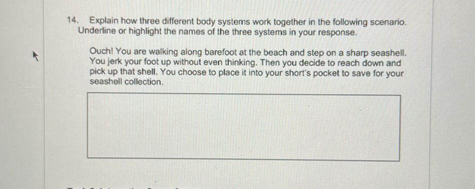 14. Explain how three different body systems | StudyX
