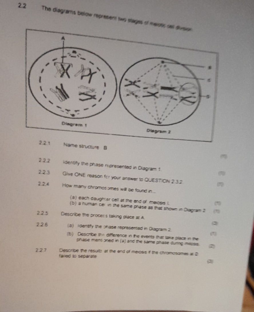 2.2 The diagrams below represent two stages | StudyX