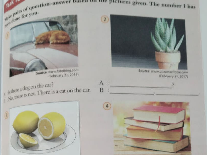 Make pairs of question-answer based on the | StudyX