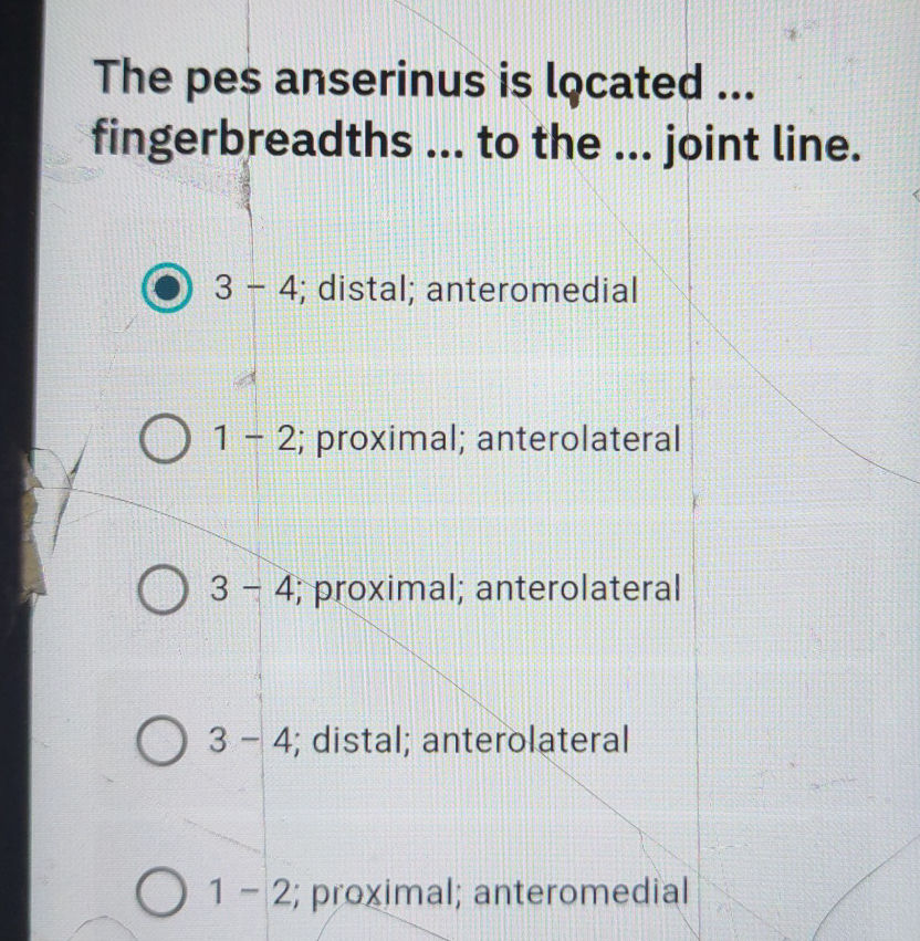 The pes anserinus is located ... | StudyX