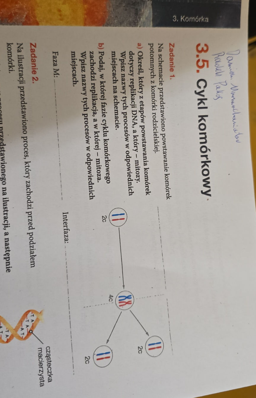 Zadanie 1. Na schemacie przedstawiono | StudyX