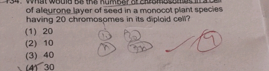 of aleurone layer of seed in a monocot plant | StudyX