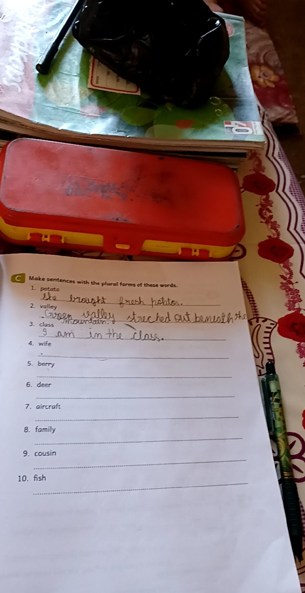 Sentens Maker Make sentences with the plural forms of