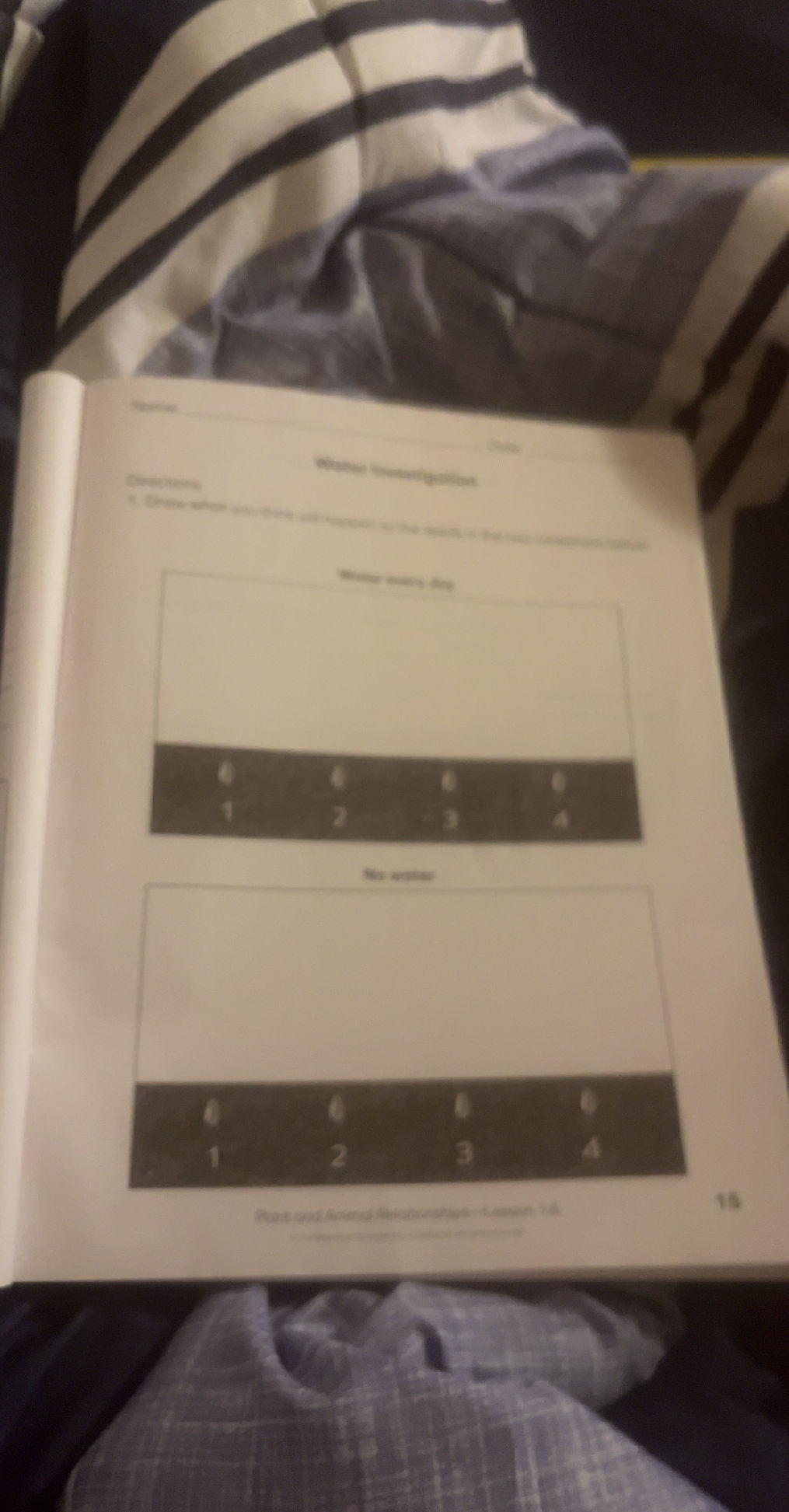 Water Investigation Directions: 1. Draw what