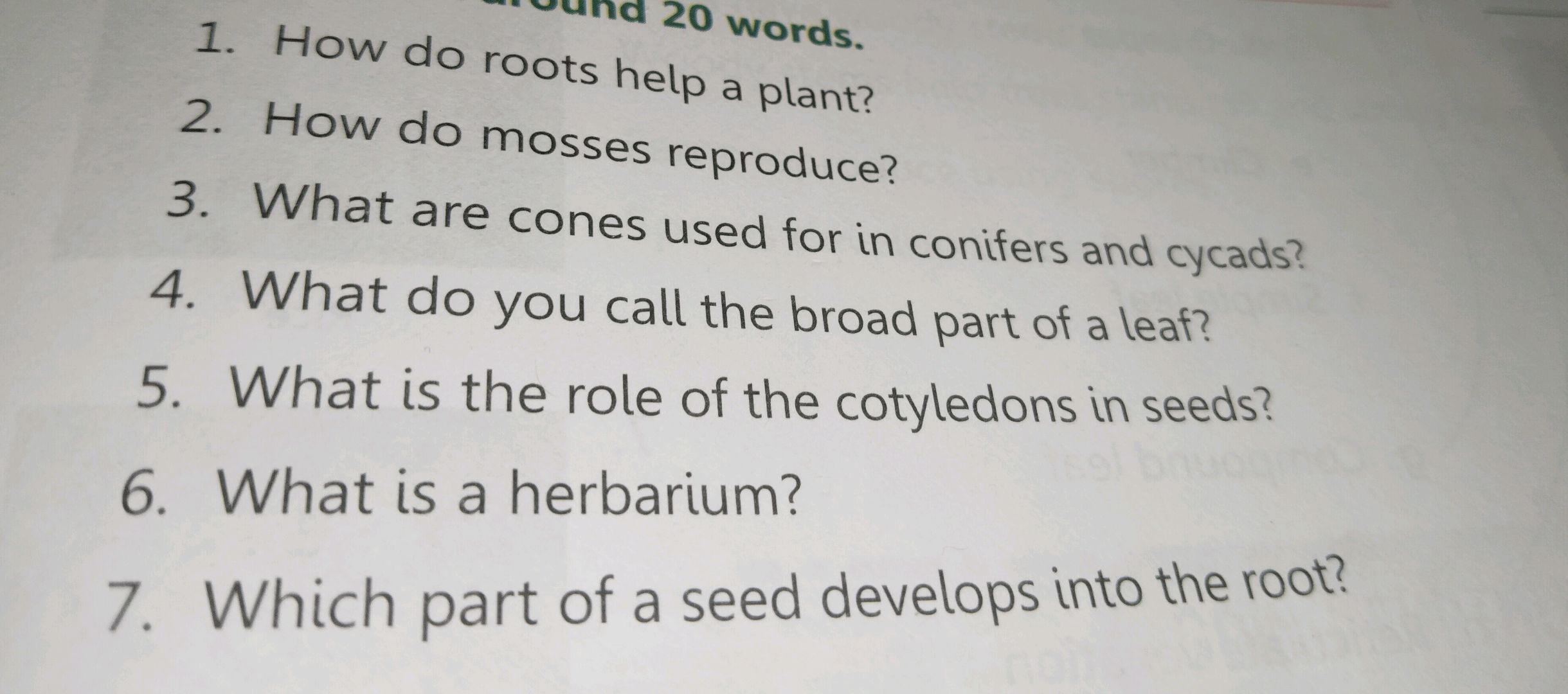 1. How do roots help a plant? 2. How do | StudyX