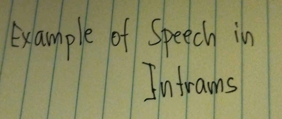Example of Speech in Intrams | StudyX