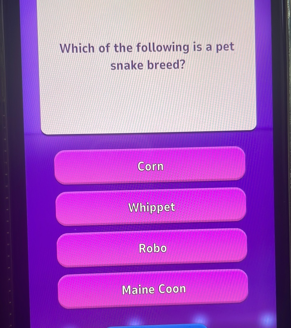 Which of the following is a pet snake breed? | StudyX