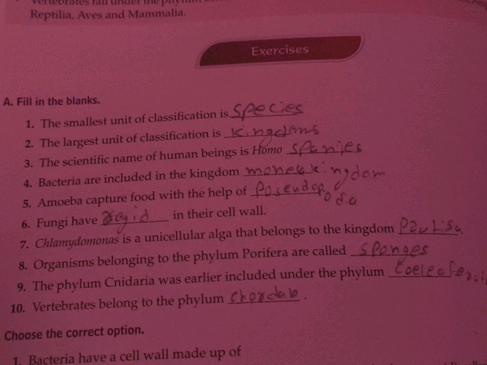 種の英語 visual data 4