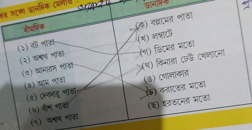  বামদিক (১) বট পাতা (২) অশ্বত্থ পাতা (৩) Bildidee 