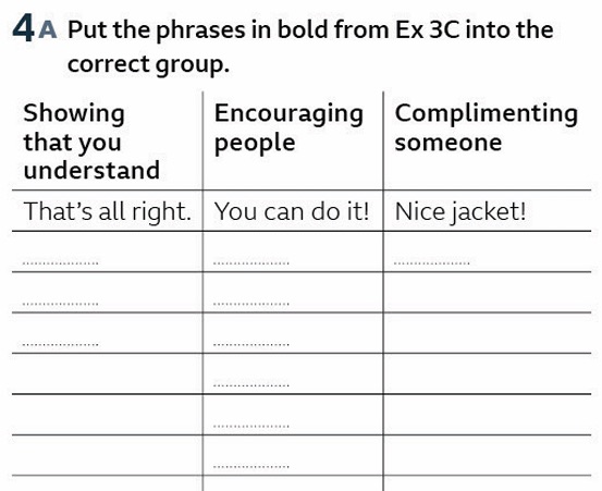 4A Put the phrases in bold from Ex 3C into