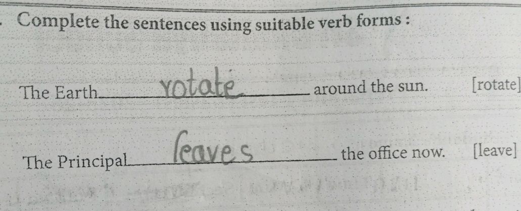 Complete the sentences using suitable verb | StudyX