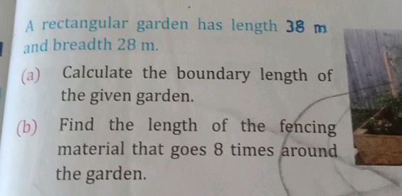 A rectangular garden has length 38 m and | StudyX