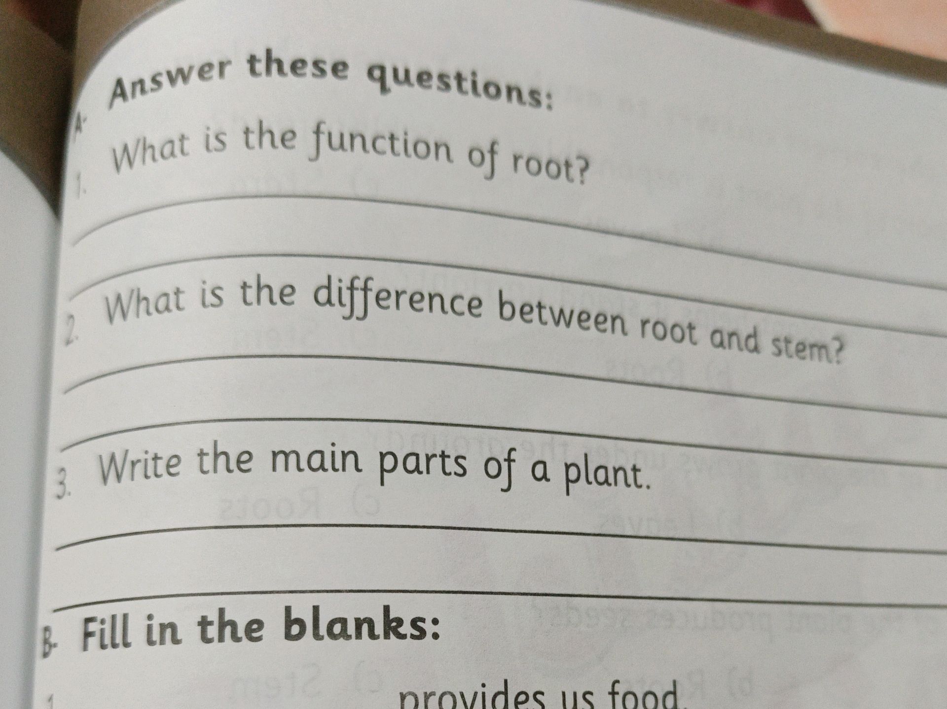 The Roots Bio Questions A. Answer these questions: 1. What is the | StudyX