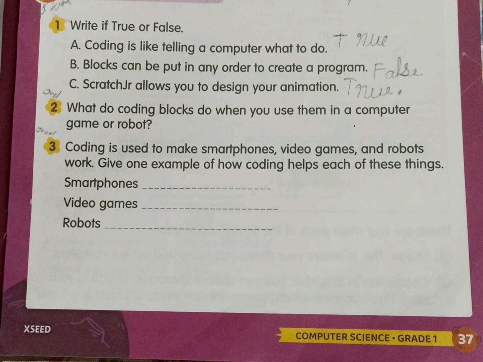 1 Write if True or False. A. Coding is like | StudyX