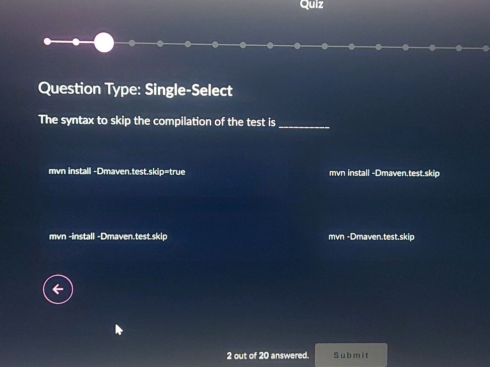 The syntax to skip the compilation of the | StudyX