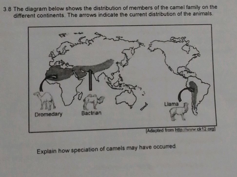 3.8 The diagram below shows the distribution | StudyX