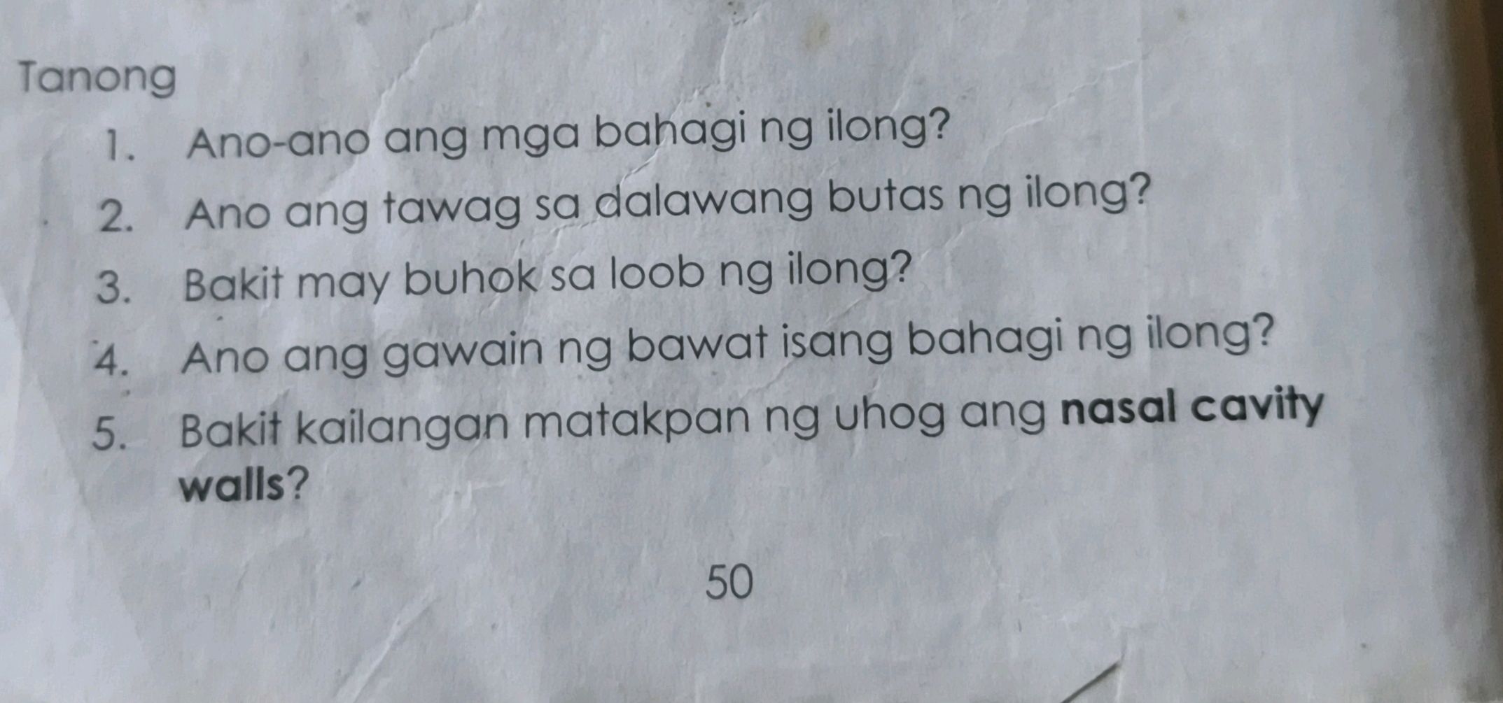 Ano-ano ang mga bahagi ng ilong? 2. Ano ang