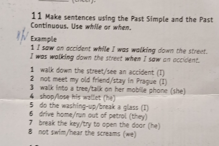 Make sentences using the Past Simple and the | StudyX