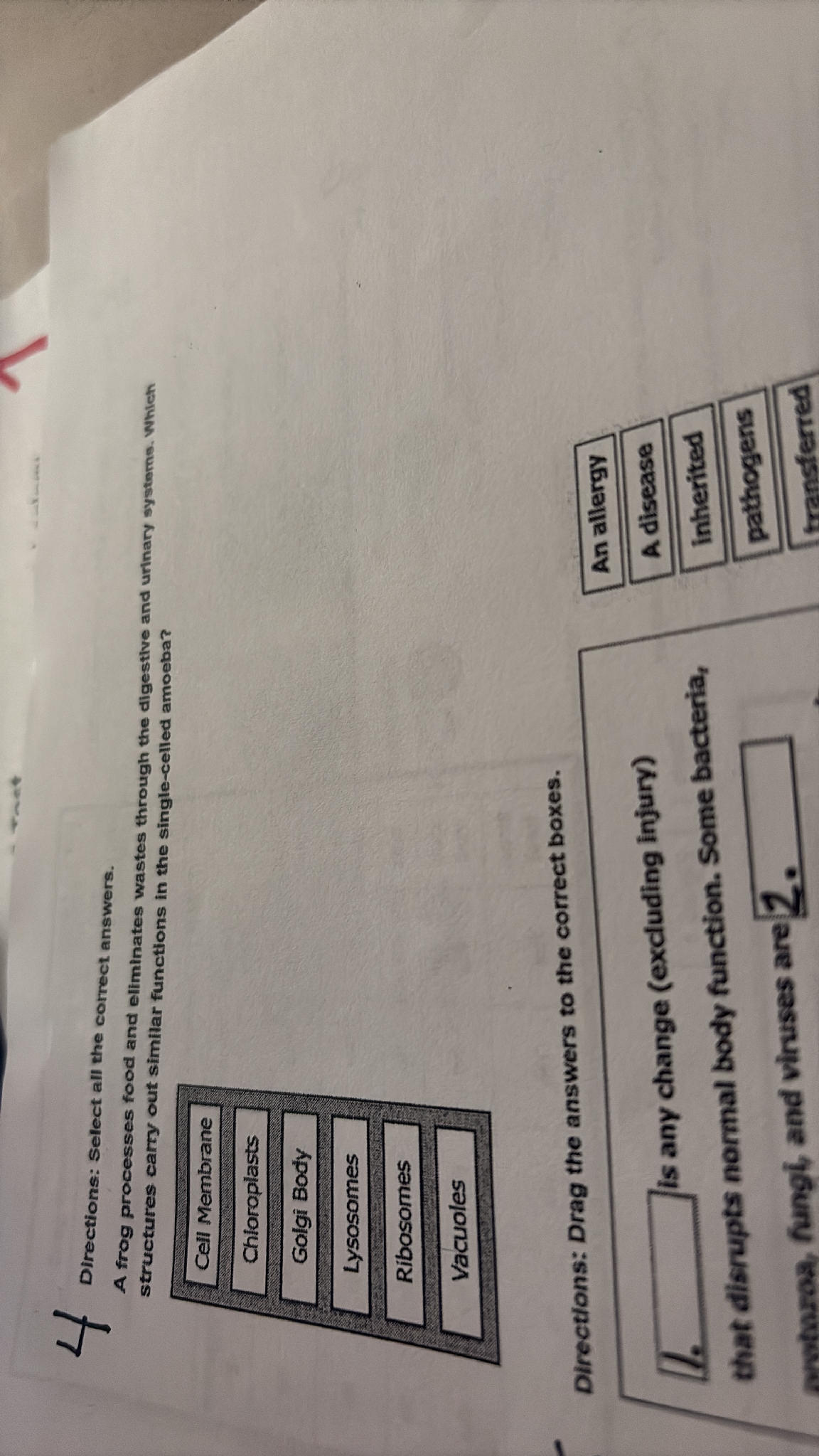Directions: Select all the correct answers. | StudyX