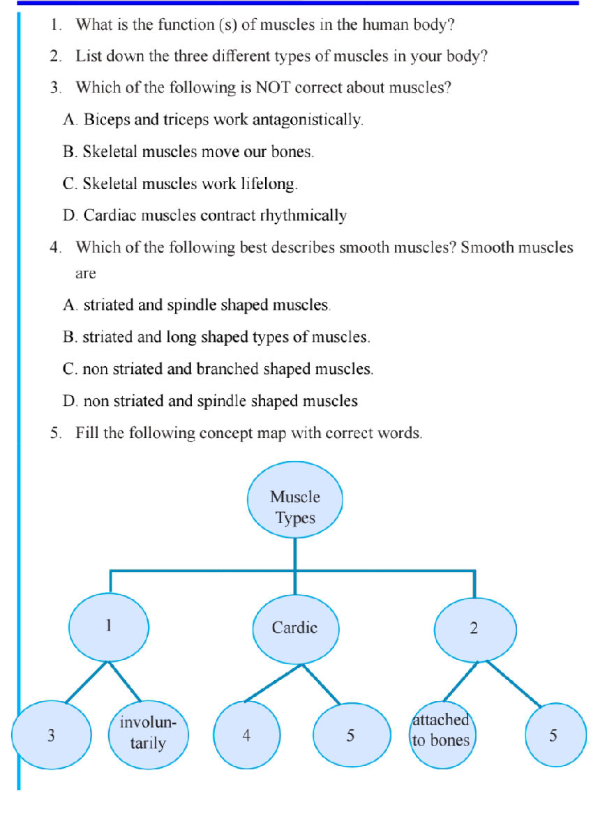 Correctness Concept Map Fill the following concept map with correct | StudyX