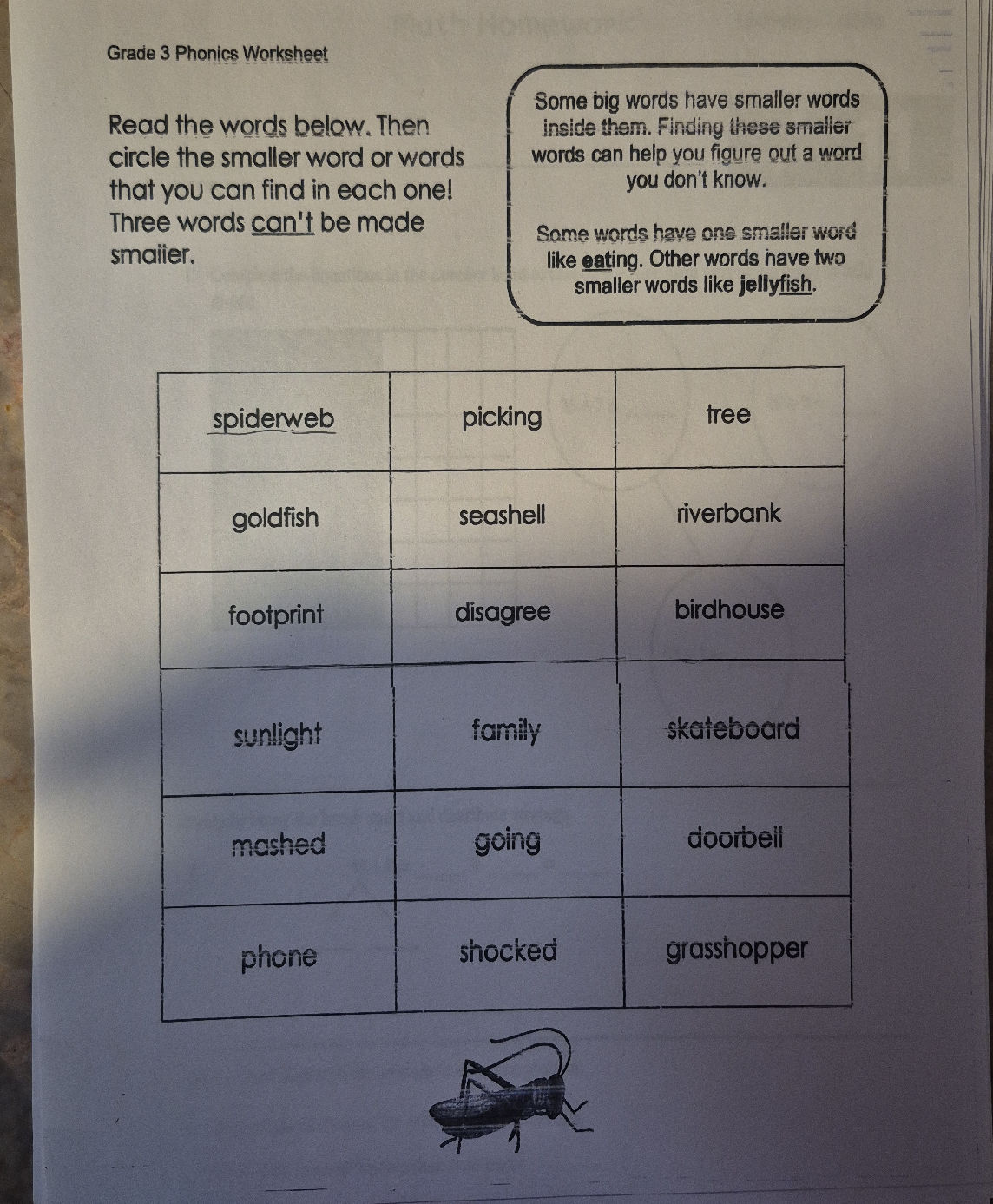 Smaller Words Read the words below. Then circle the | StudyX