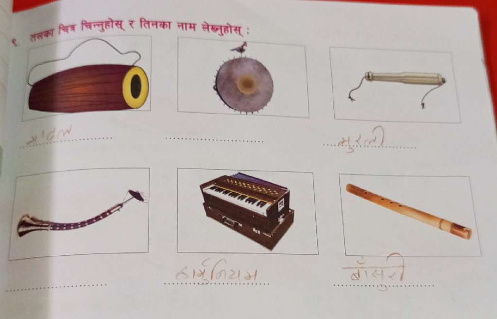 तलका चित्र चिन्नुहोस् र तिनका नाम लेख्नुहोस् | StudyX