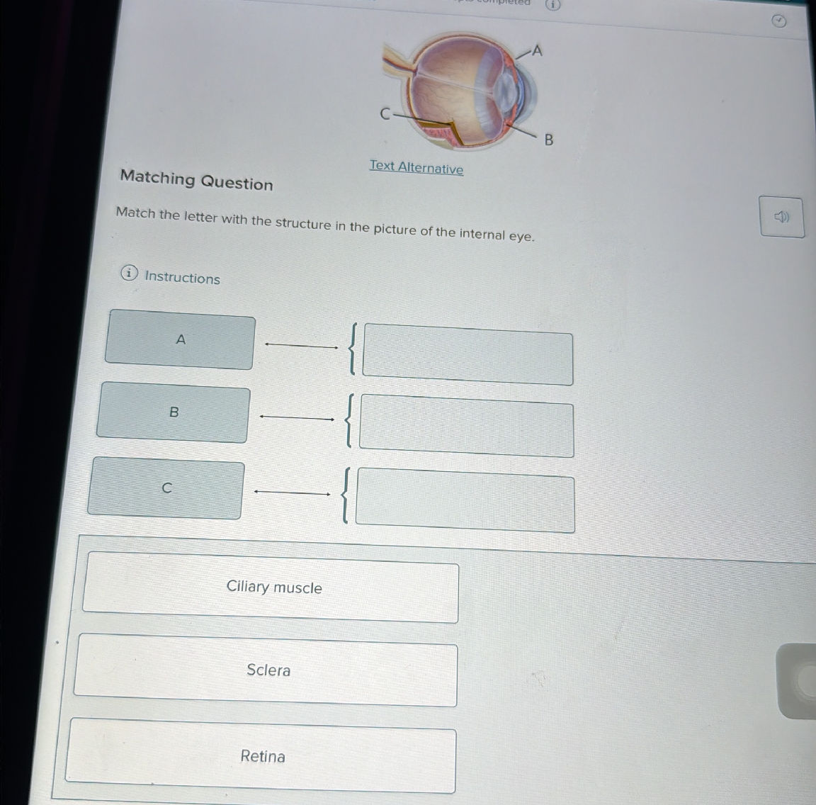 Matching Question Match the letter with the | StudyX