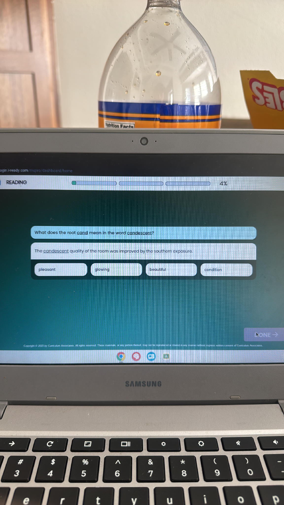 What Does The Root cand Mean In The Word StudyX what-does-the-root-cand-mean-in-the-word-studyx