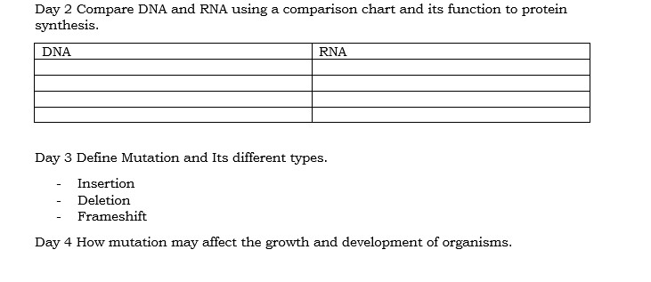 Day 2 Compare DNA and RNA using a comparison | StudyX