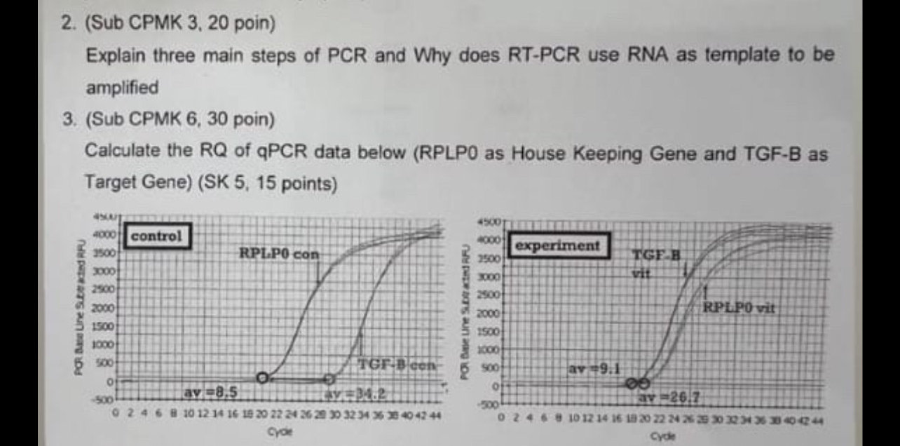Qpcr Rq (Sub CPMK 6, 30 poin) Calculate the RQ of | StudyX