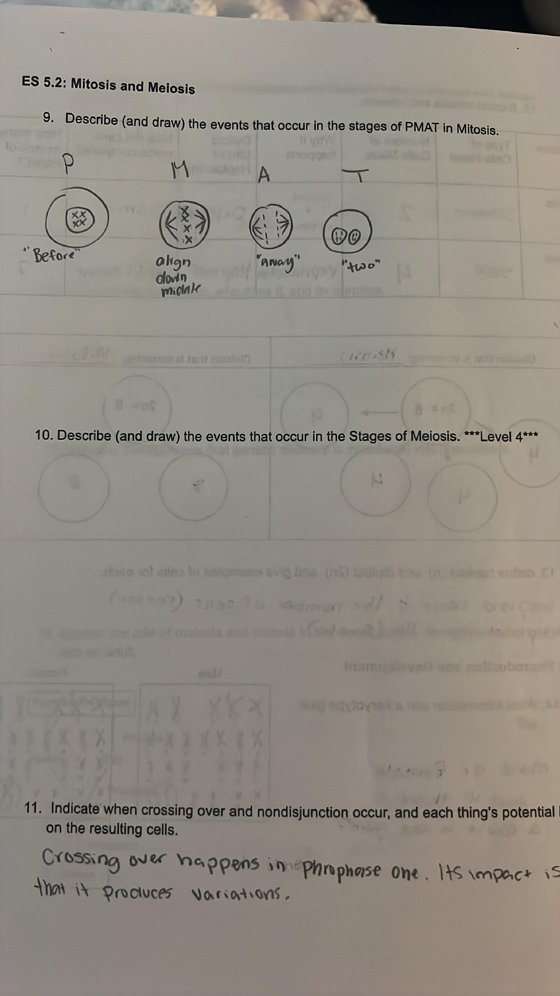 ES 5.2: Mitosis and Meiosis 9. Describe | StudyX