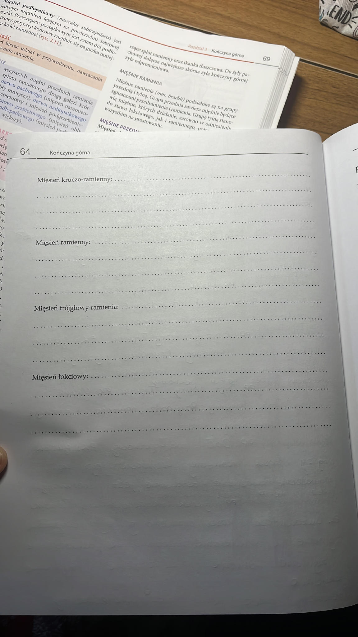 MIEŚNIE RAMIENIA Mięsień kruczo-ramienny: | StudyX