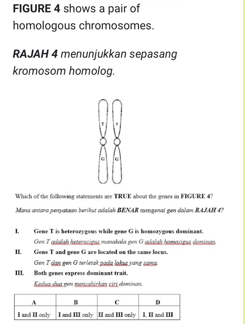 FIGURE 4 shows a pair of homologous