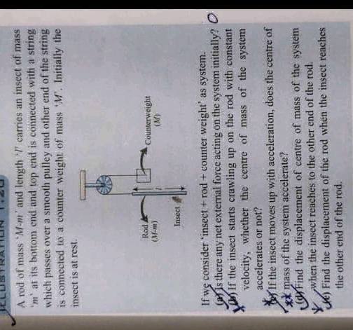 Insect Rod Effect A rod of mass M-m and length l carries an