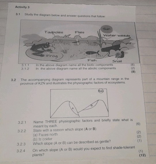 Activity 3 31 Study the diagram below and | StudyX