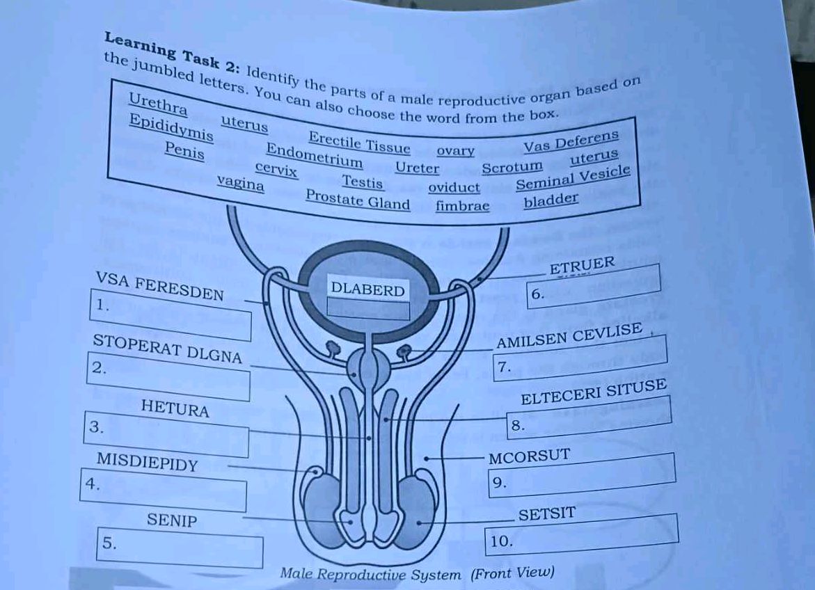 Learning Task 2 Identify the parts of a | StudyX