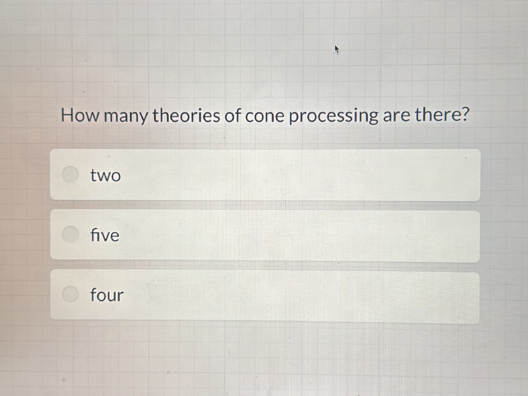 How many theories of cone processing are | StudyX