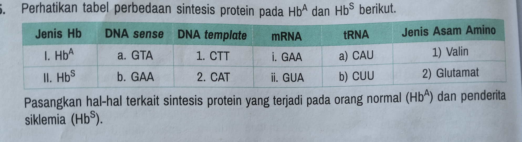 Perhatikan tabel perbedaan sintesis protein | StudyX