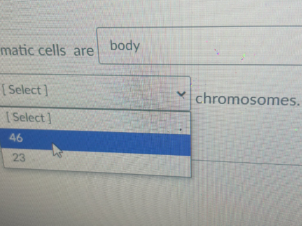 Somatic cells are [Select] body [Select] | StudyX