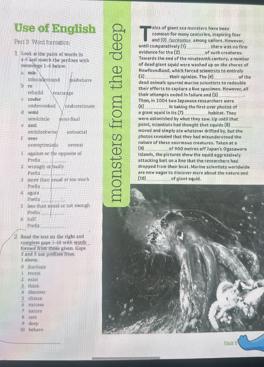 Read the text on the right and complete gaps | StudyX