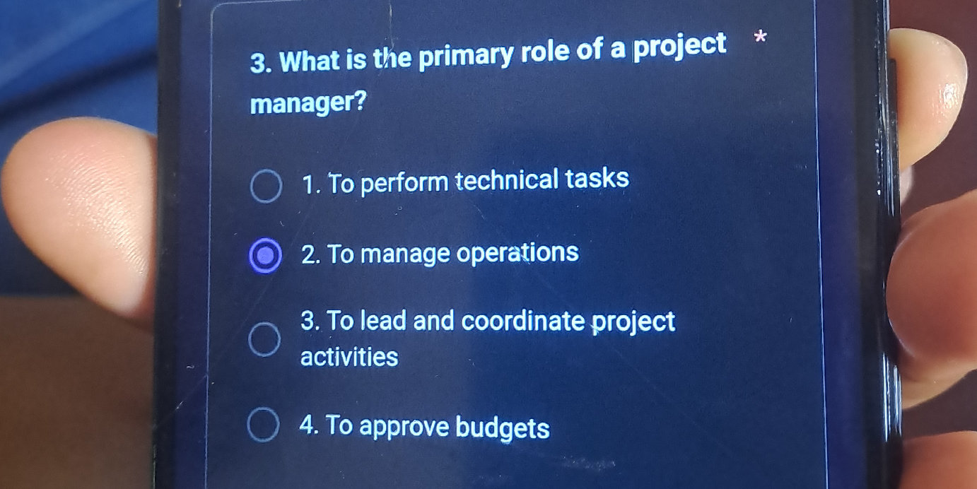 3. What is the primary role of a project | StudyX